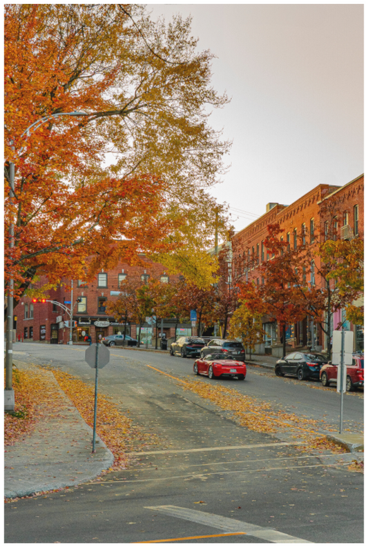 Fall in Sherbrooke